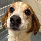 15&nbsp;Beth